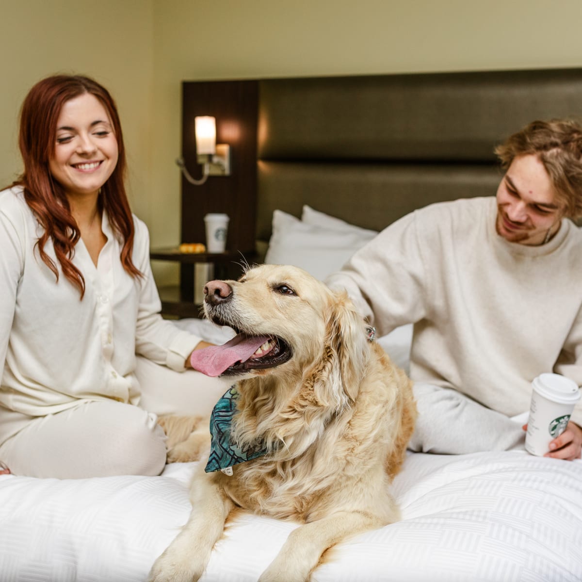 A couple sitting on a bed with a dog at the Hôtel Levesque
