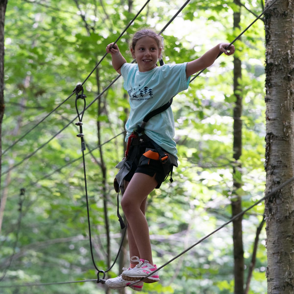 Acro-Nature du Sommet Morin Heights