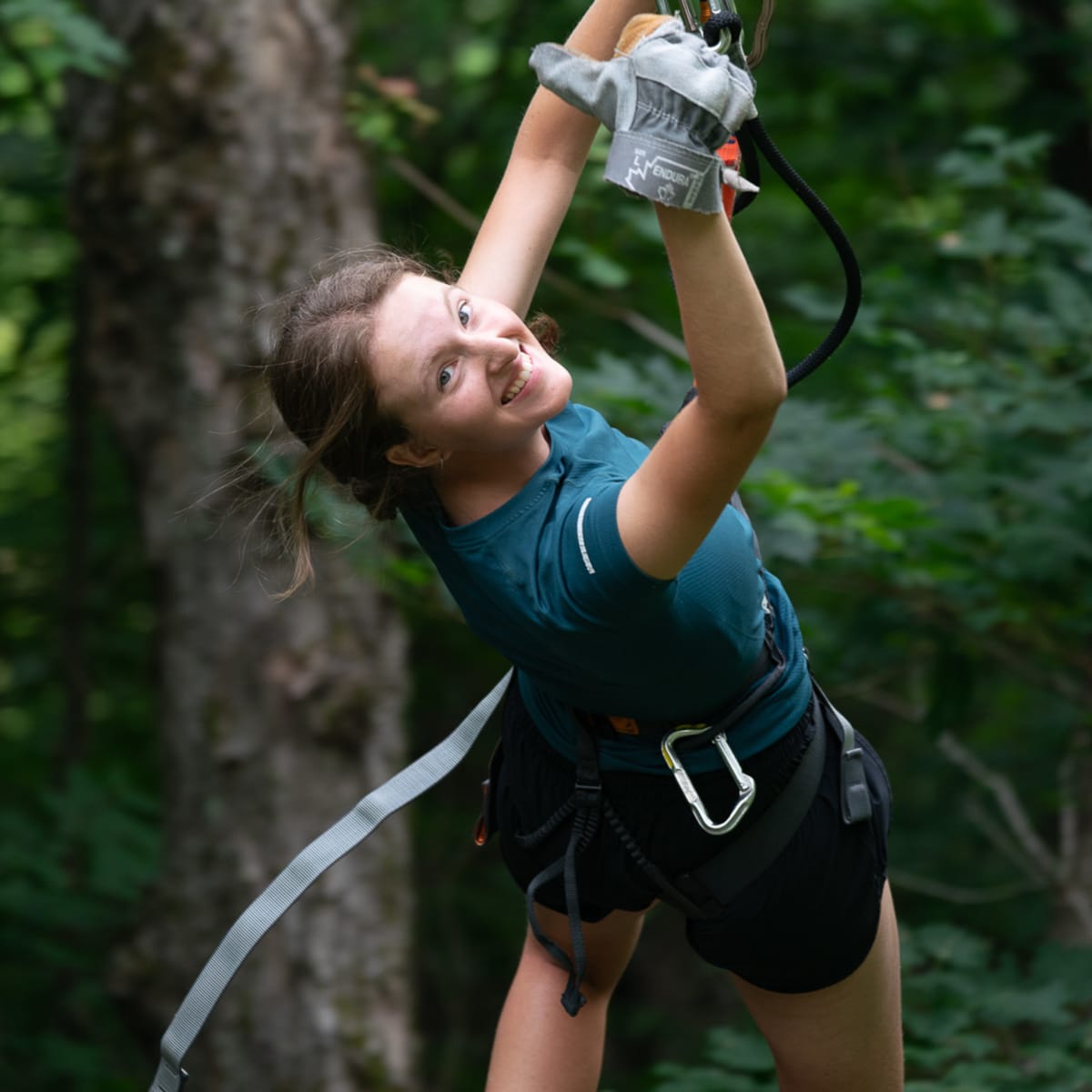 Acro-Nature du Sommet Morin Heights
