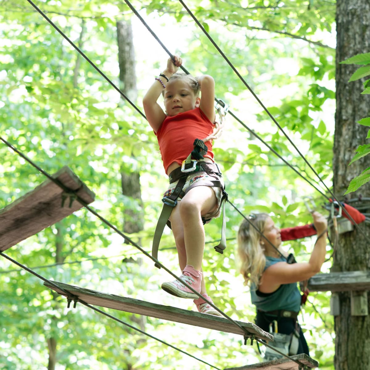Acro-Nature du Sommet Morin Heights