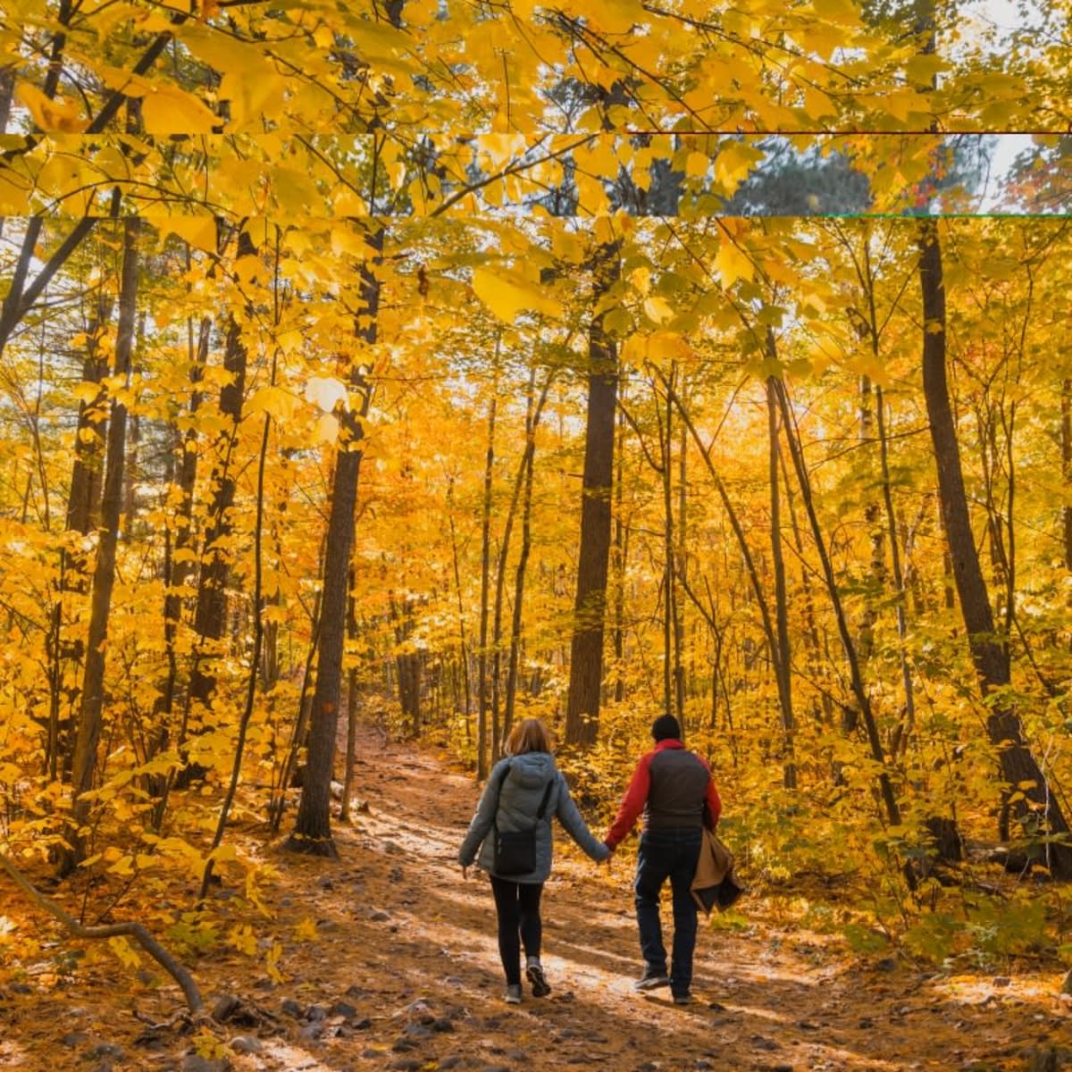 Randonnée en Montérégie.