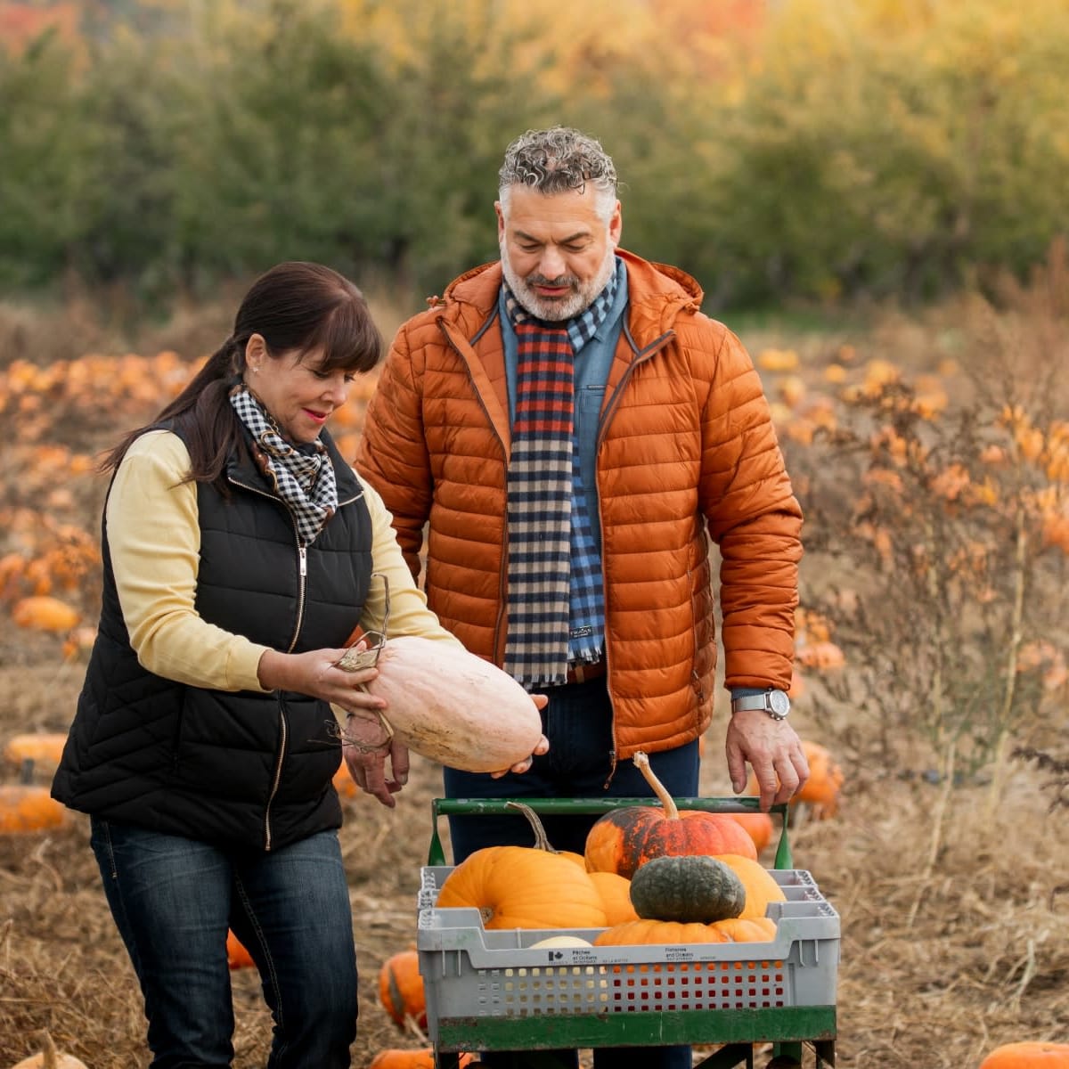 Couple in a pumpkin field.