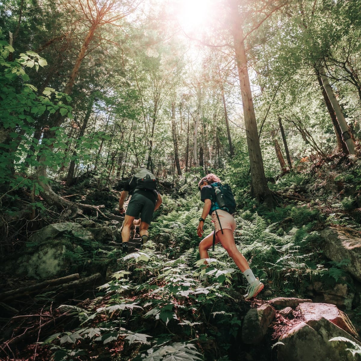 Deux randonneurs en montagne.