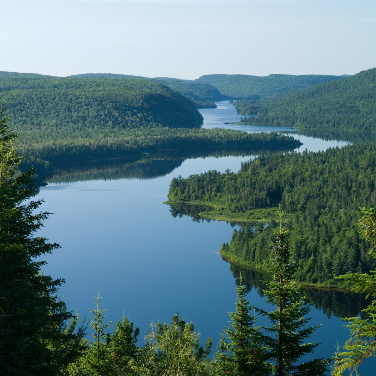 Vue de haut d'un plan d'eau bordé de forêts denses.
