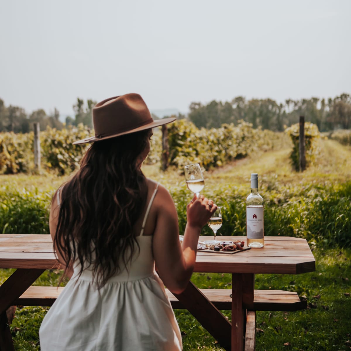 Femme en train de boire du vin dans un vignoble.