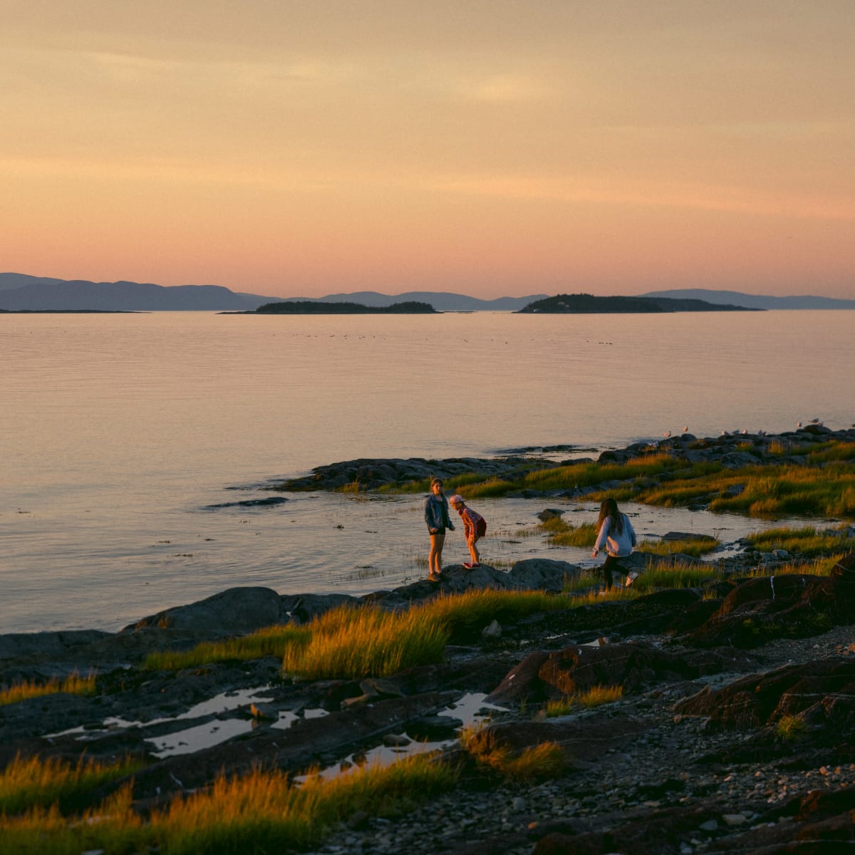 Trois enfants au bord de l'eau au coucher de soleil.