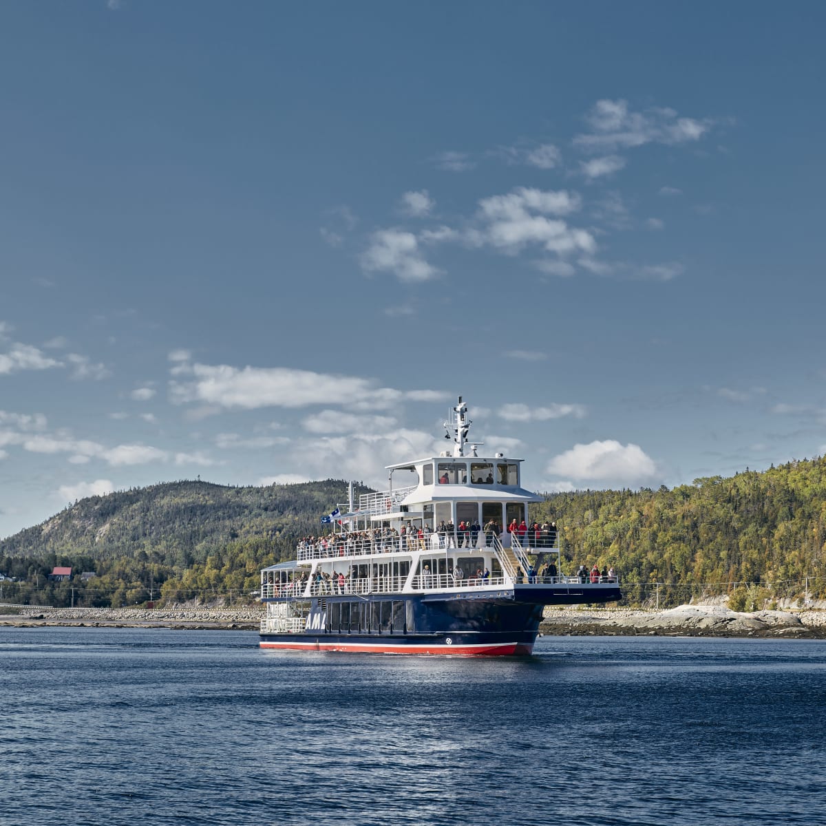 Bateau de croisière aux baleines.