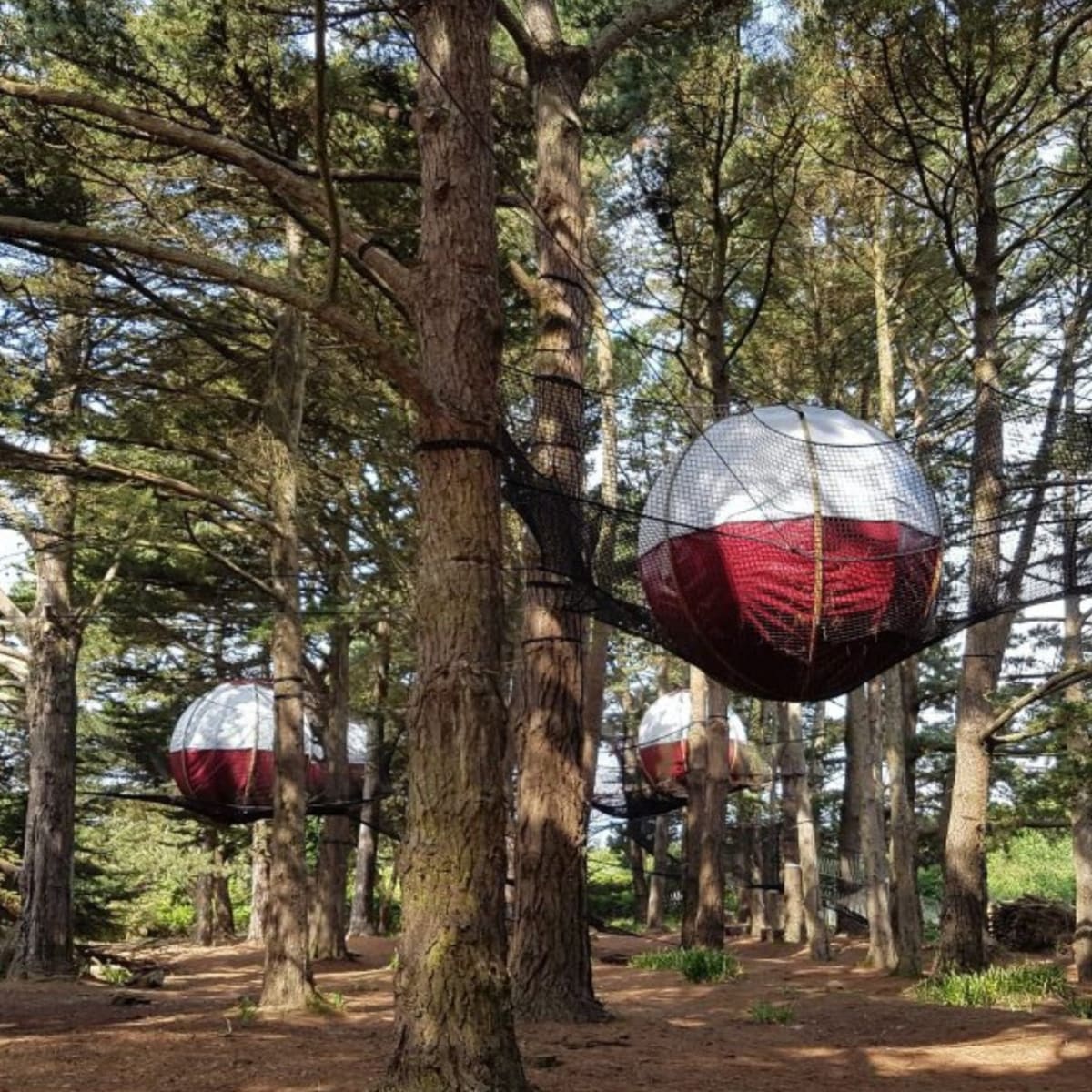 Tentes sphériques suspendues dans les arbres.