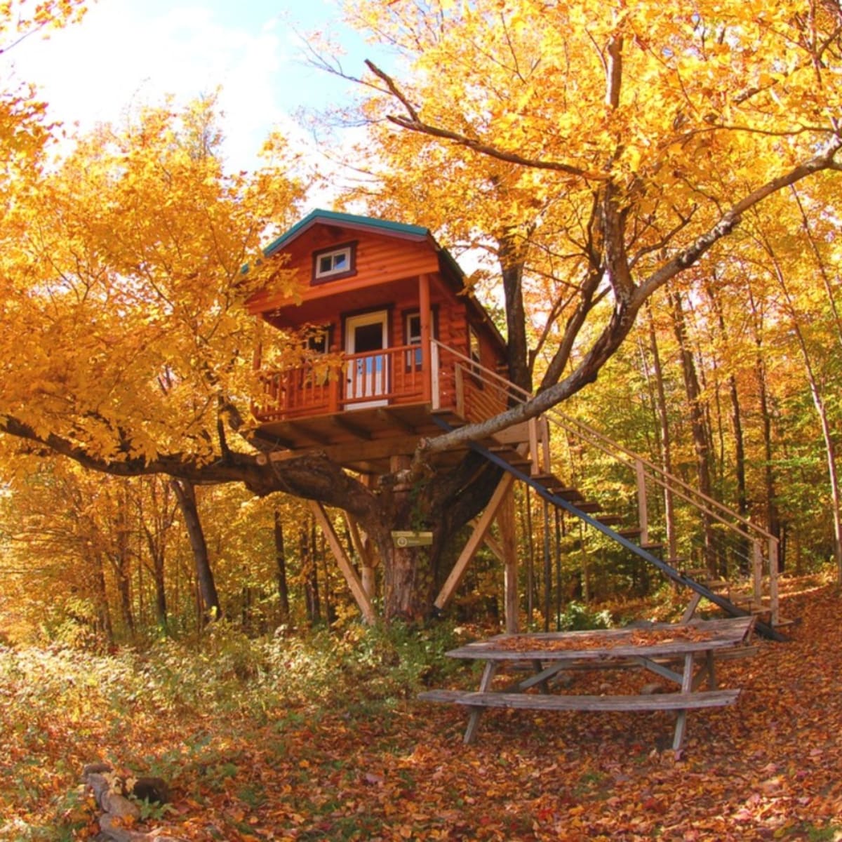 Cabane dans les arbres en automne.