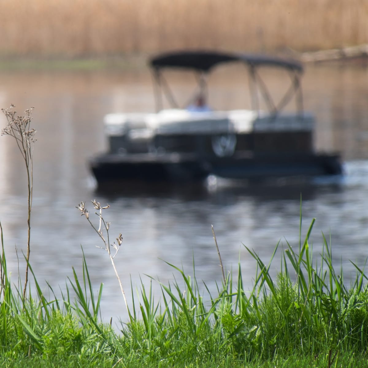 Herbes et ponton à l'eau, Base nautique de Repentigny.