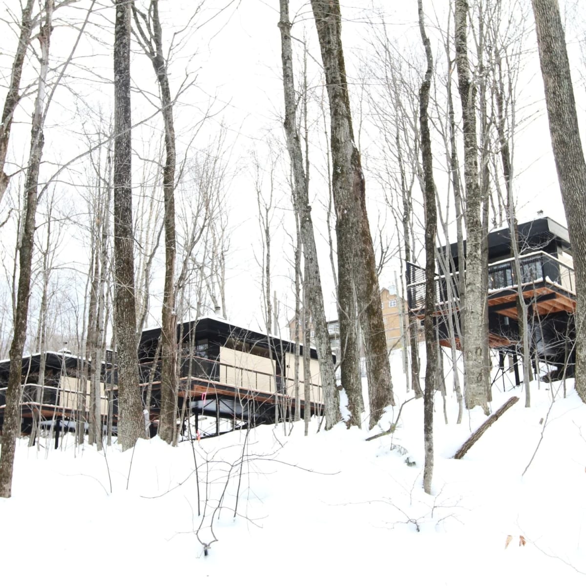 Les chalets de cabin Sutton en hiver.