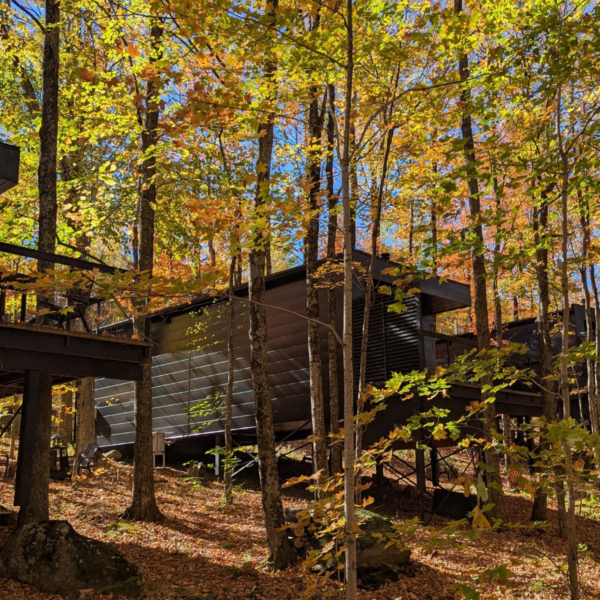 Les chalets de cabin Sutton en automne.
