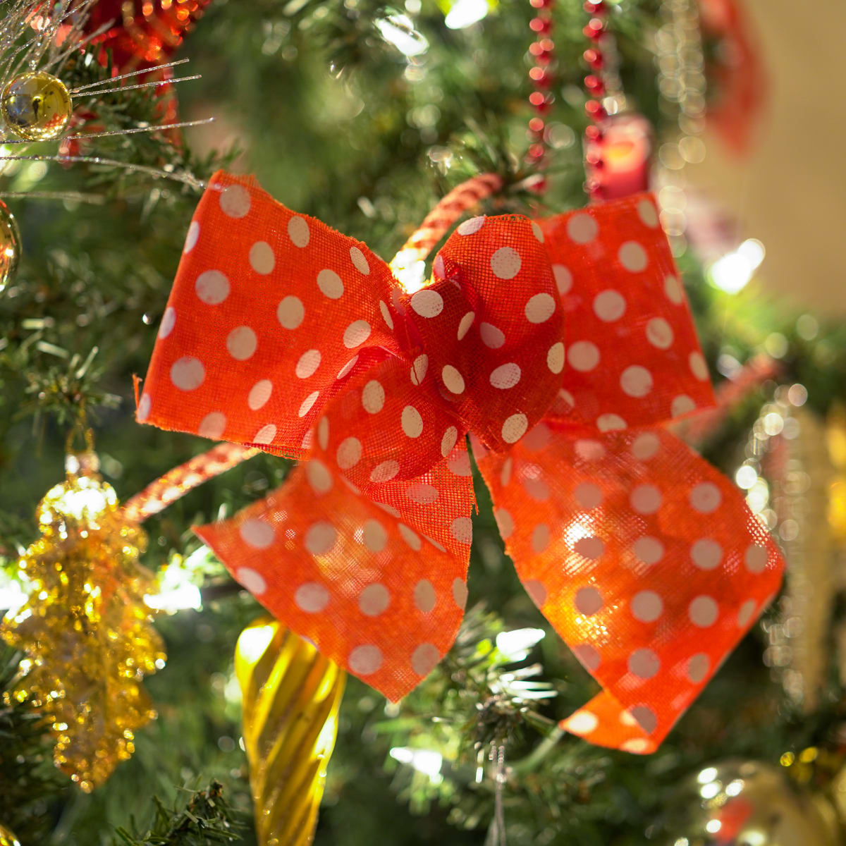 Boucle dans un arbre de Noël.