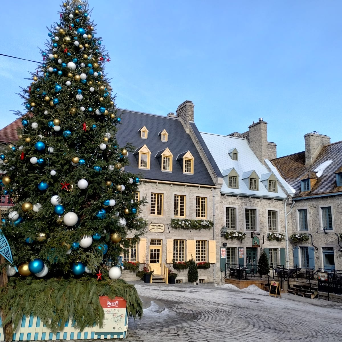Arbre de Noël dans le quartier Champlain à Québec.