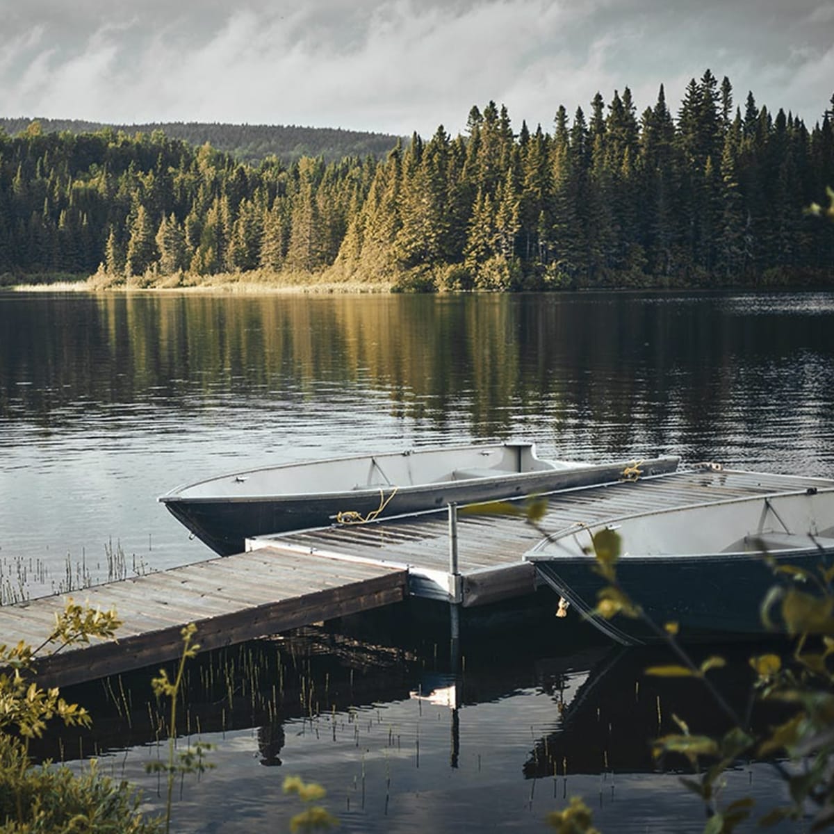 Camping de la réserve faunique de Rimouski
