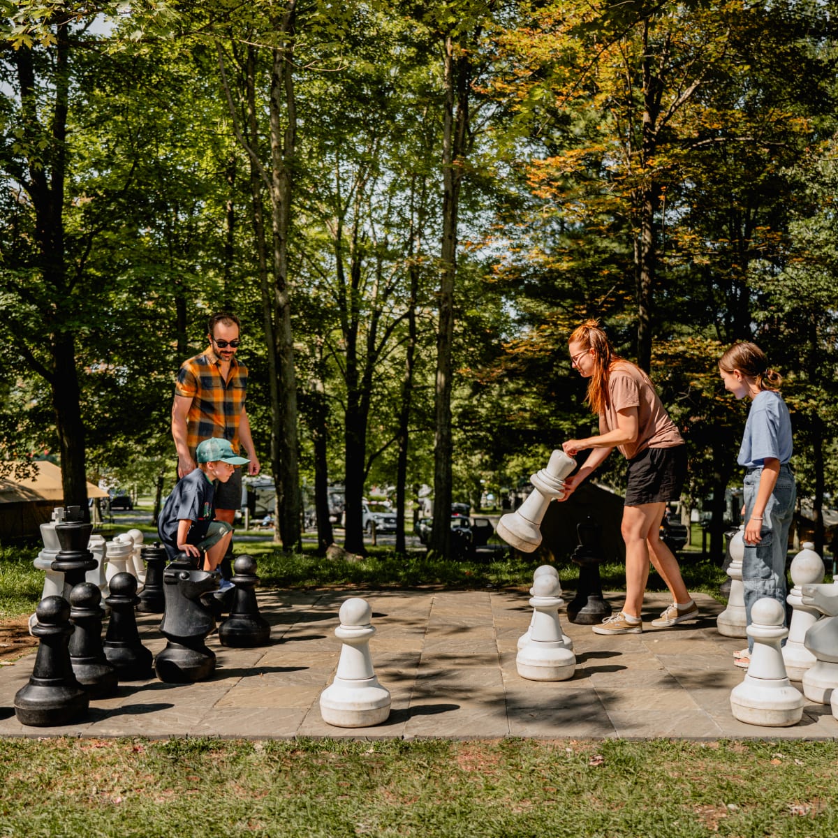 Camping des Voltigeurs