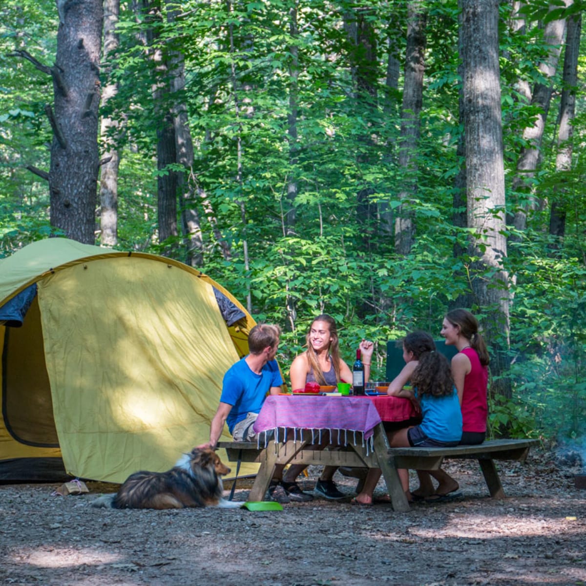 Famille assise à une table de pique-nique au Camping du parc national d'Oka.