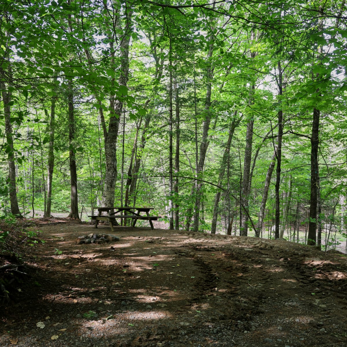 Camping et cabines du Sommet Morin Heights