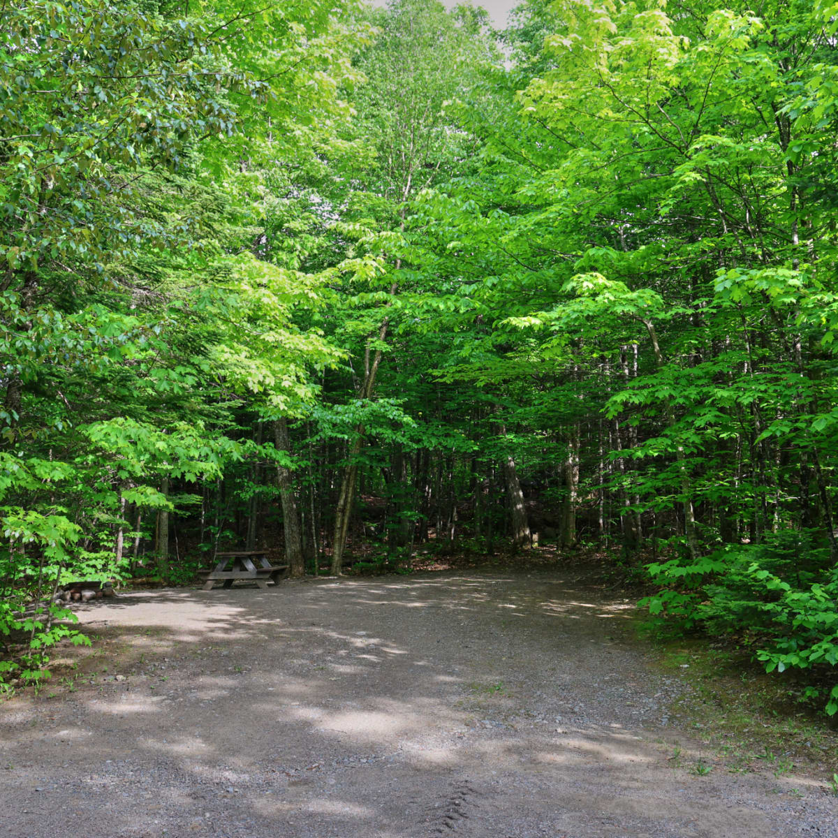 Camping et cabines du Sommet Morin Heights