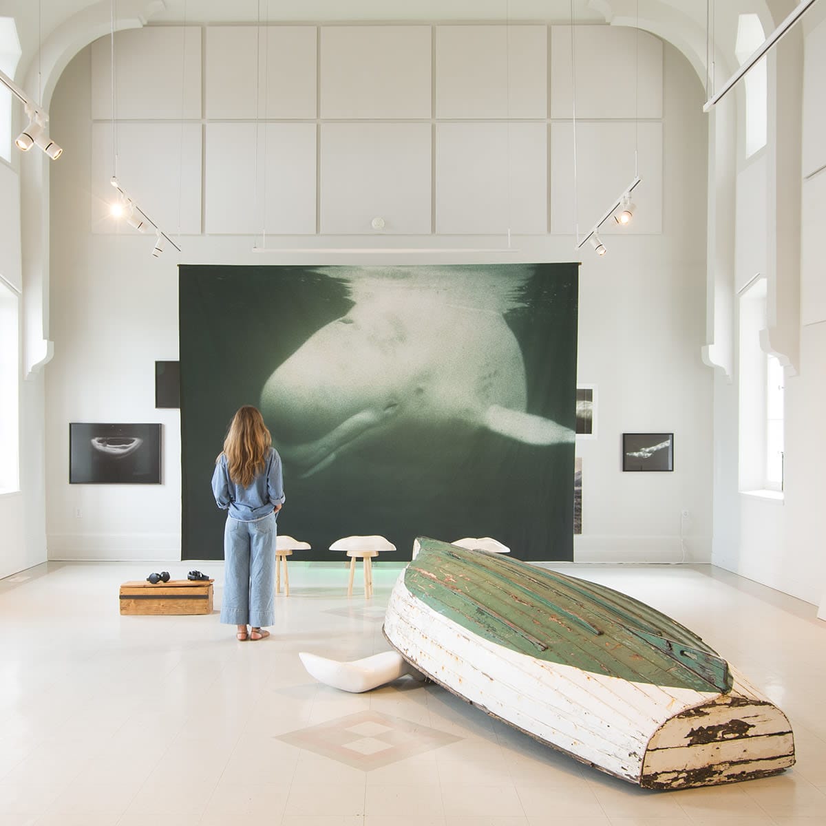Détails de l'expo Dans l'œil du béluga, par Maryse Goudreau au Centre d'art de Kamouraska.