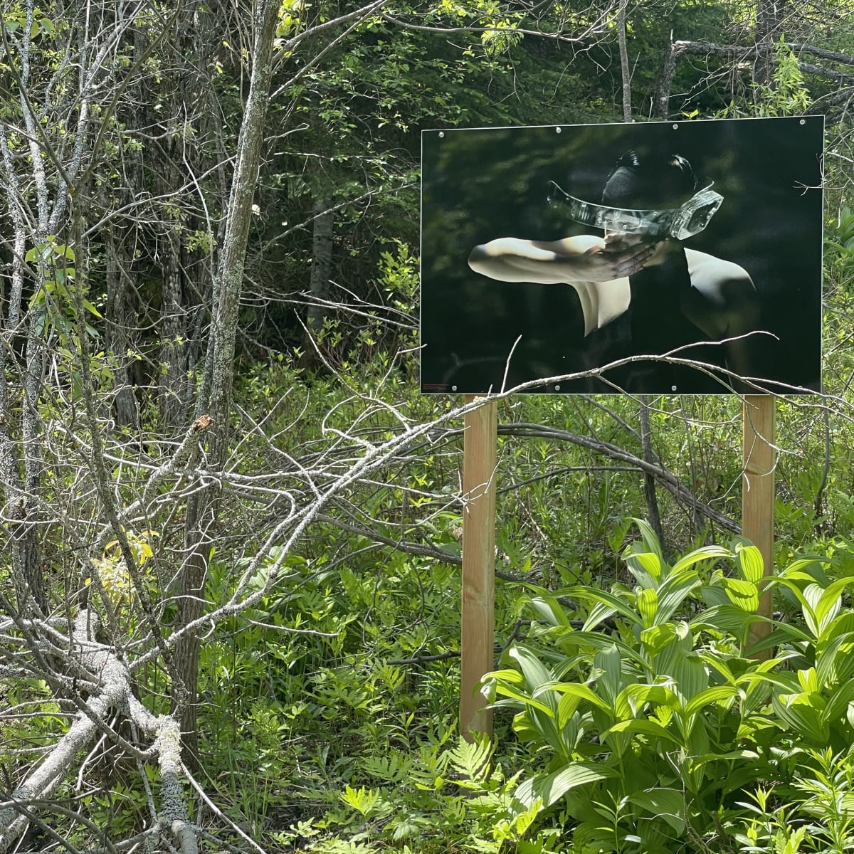 Malvina Center of Creation and Presentation Center - Artwork of a person wearing a hat, hands over face, is displayed on a panel in a forest setting.