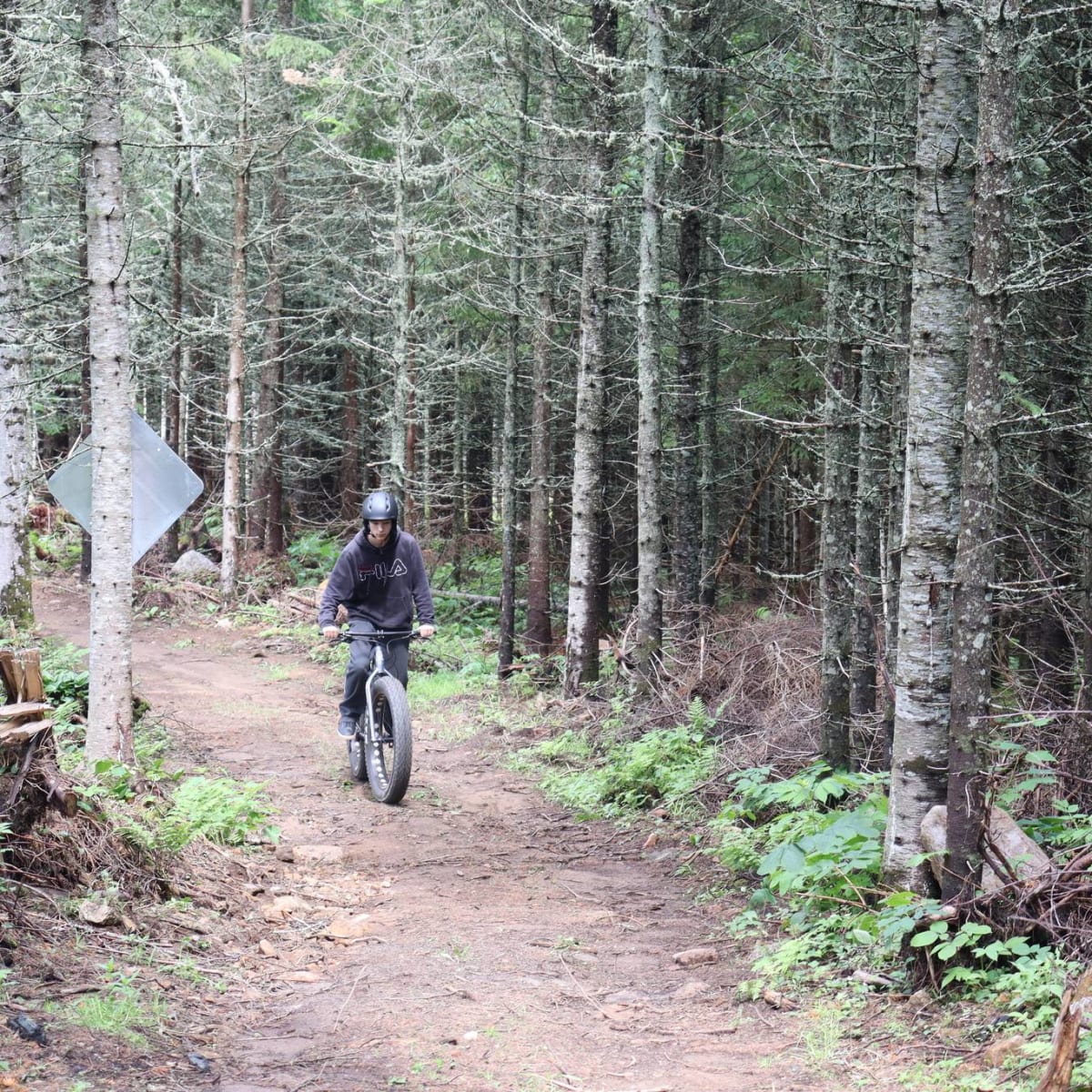 Centre récréotouristique des Hautes Terres - An individual riding a fatbike in a forest
