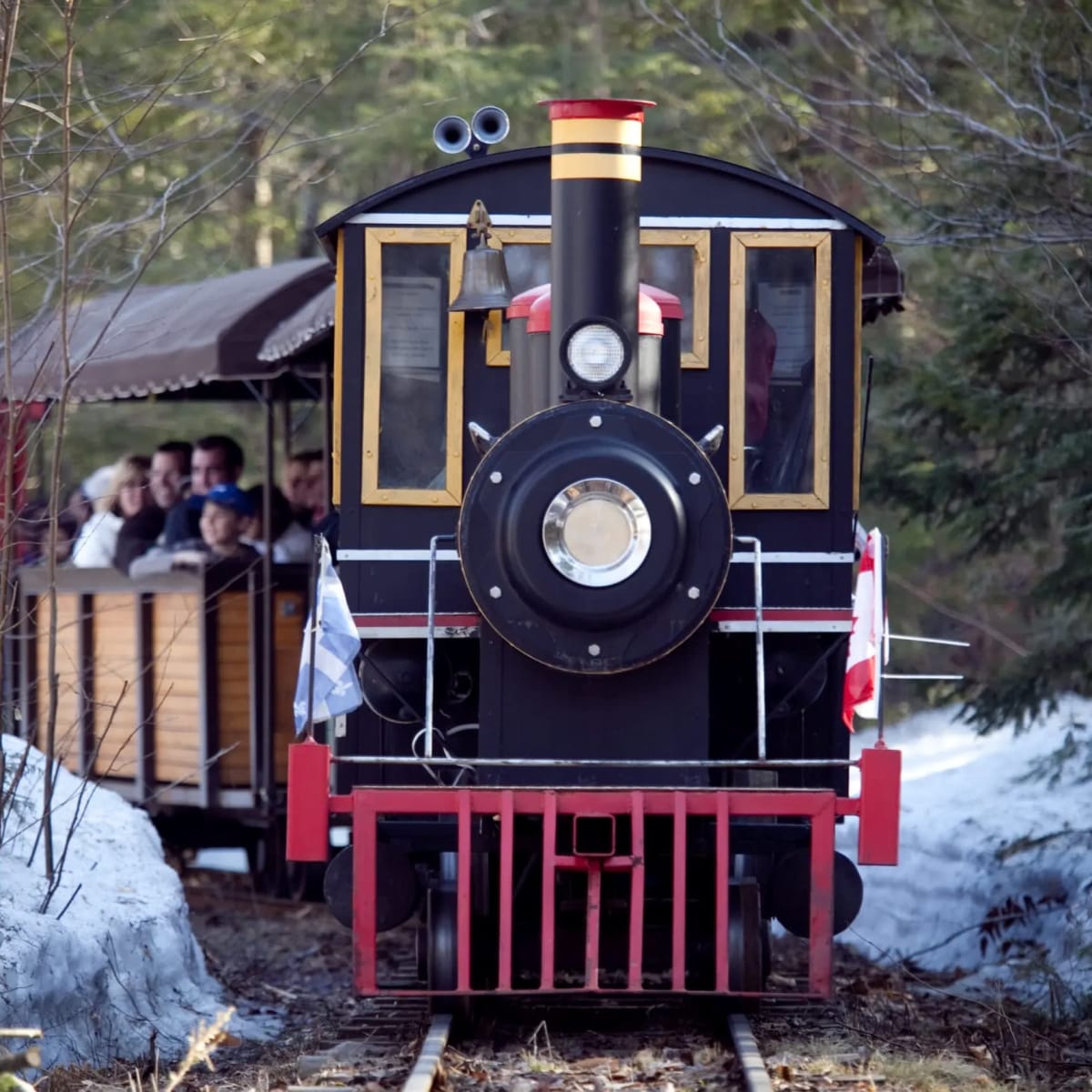 Train au Chalet des Érables.