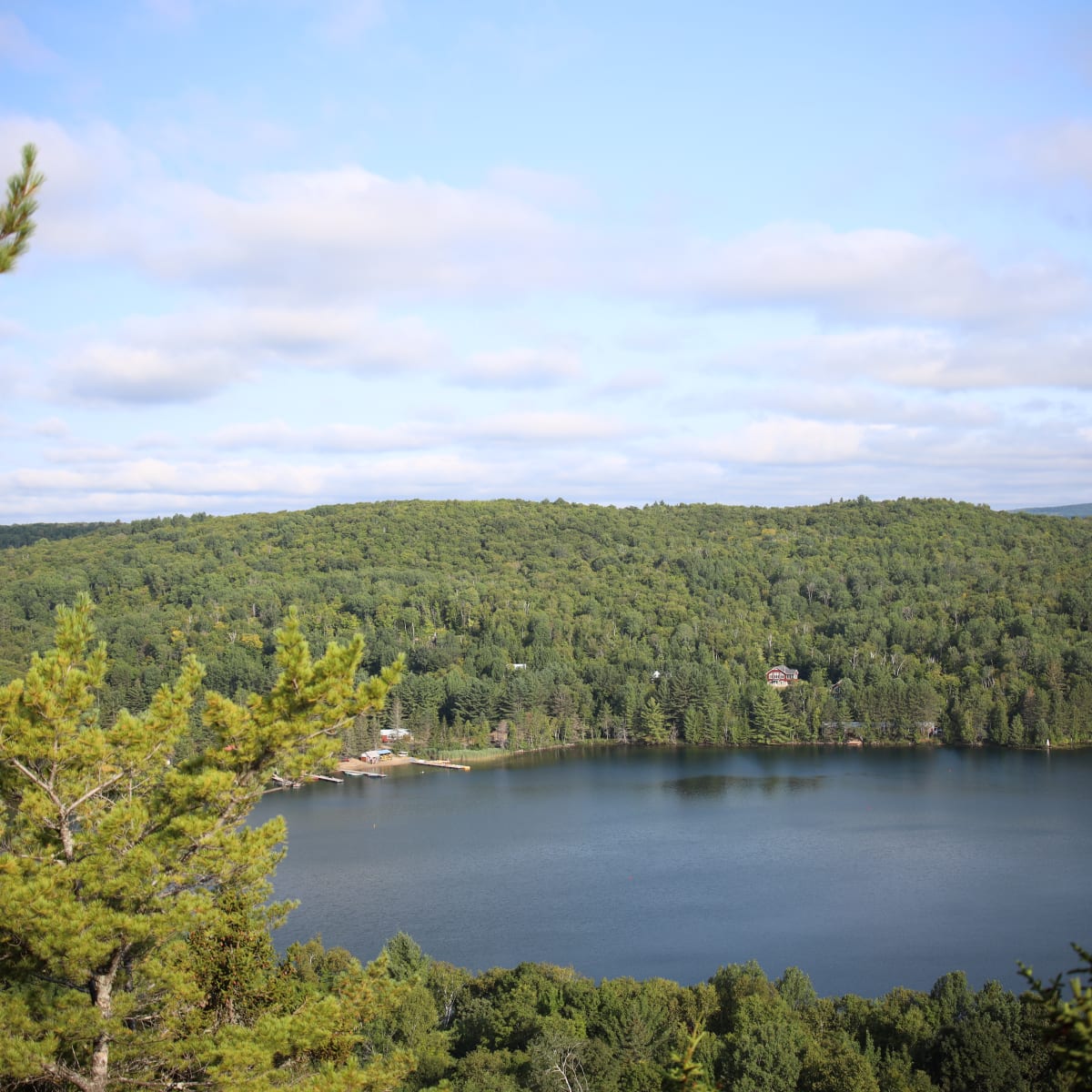 Lac au centre de la forêt.