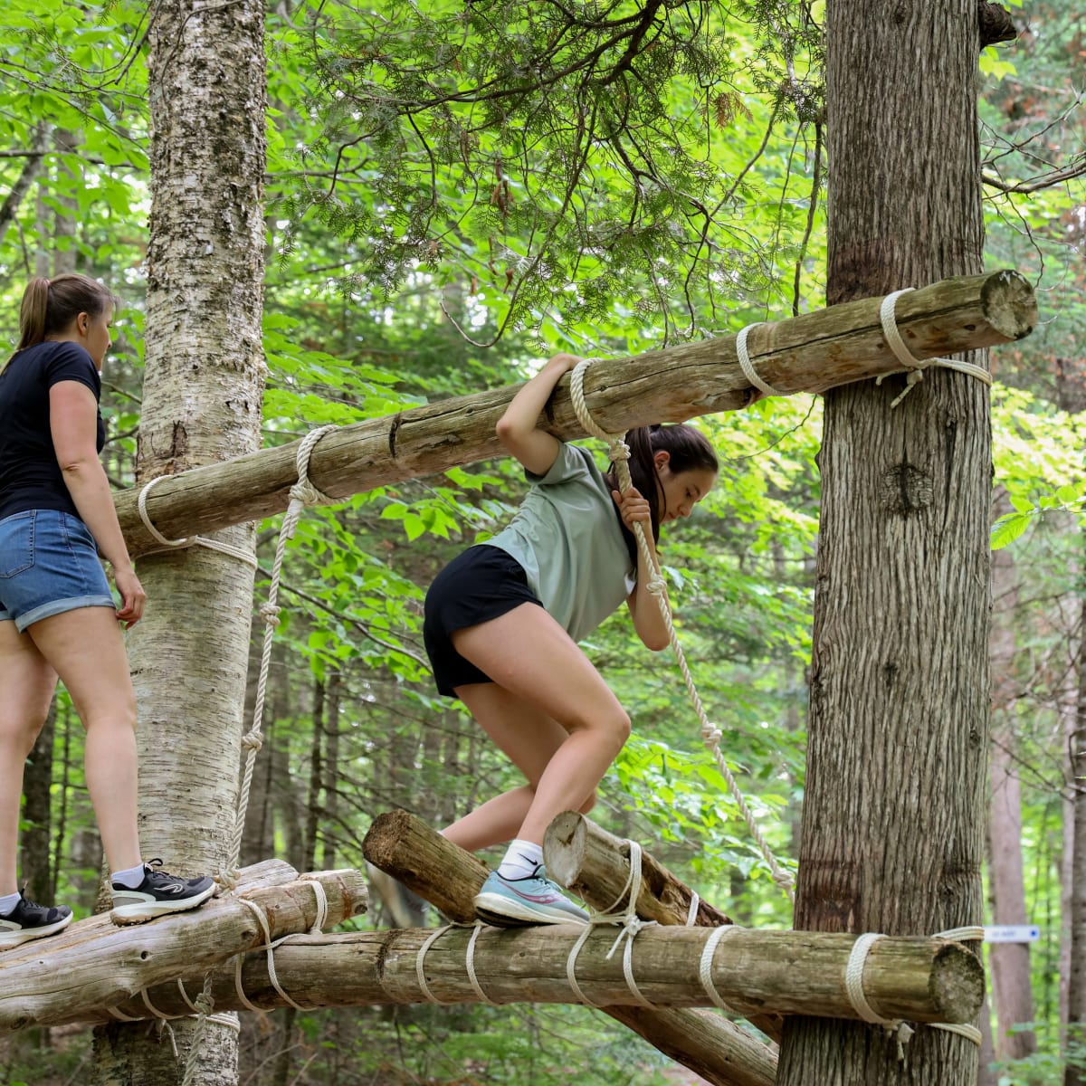 Parcours dans les arbres.