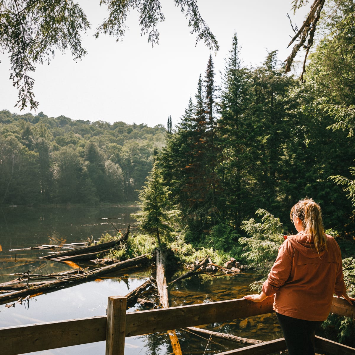 Interpretation trails and circuits in Petite Nation - A woman observing nature