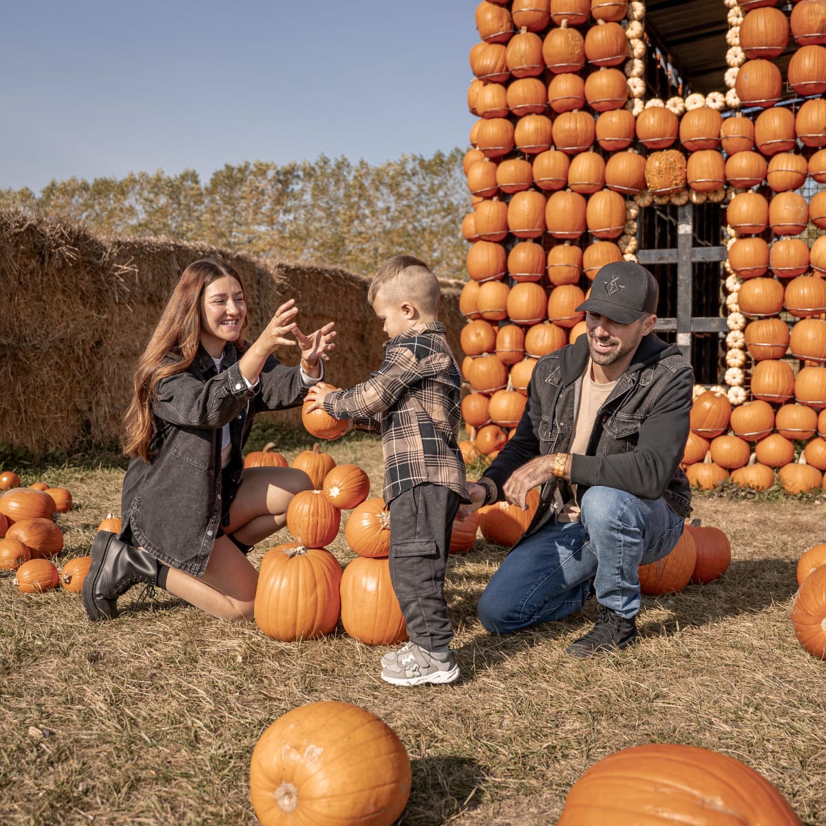 Family at Citrouilleville.