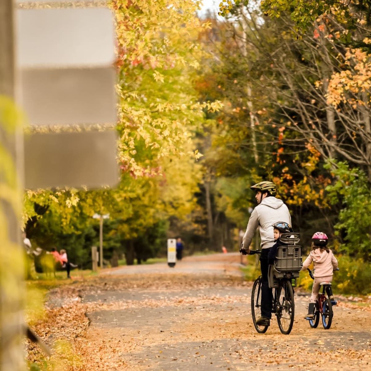 Famille à vélo en automne sur Le P’tit Train du Nord