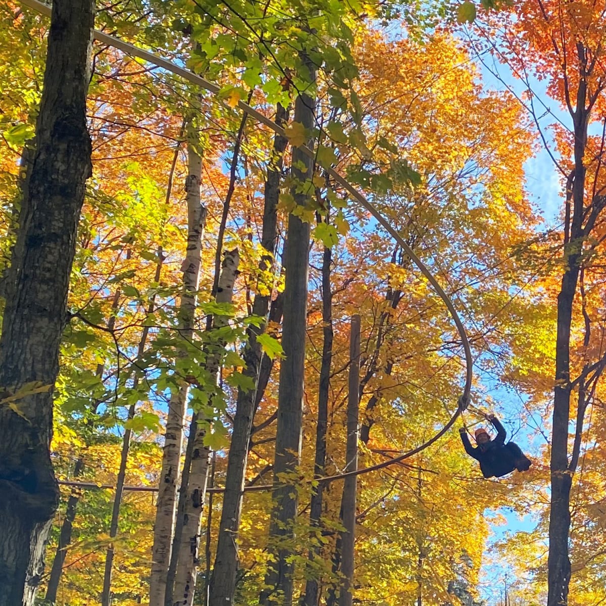 Tyrolienne à virages au Mont SUTTON