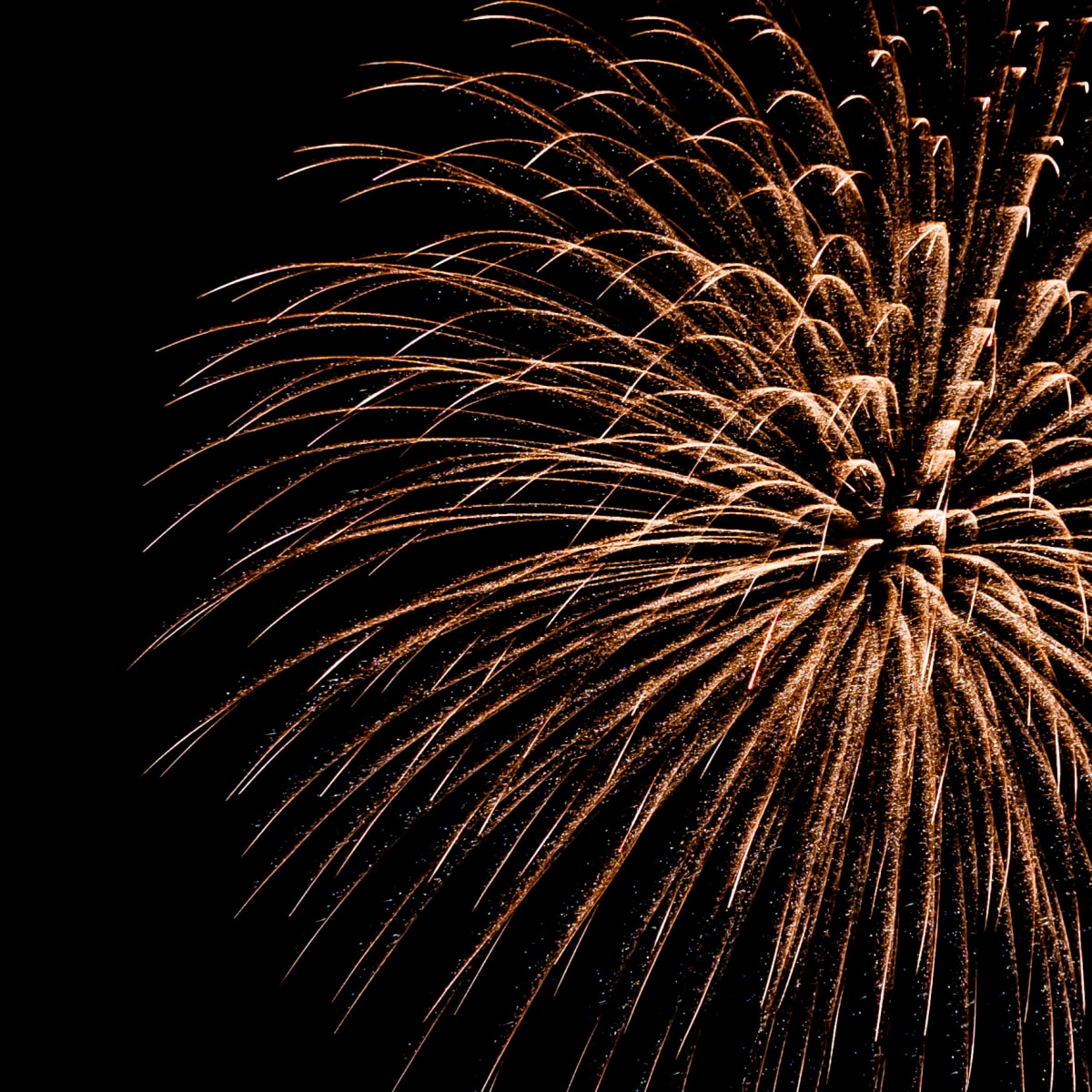 Feux d'artifices.