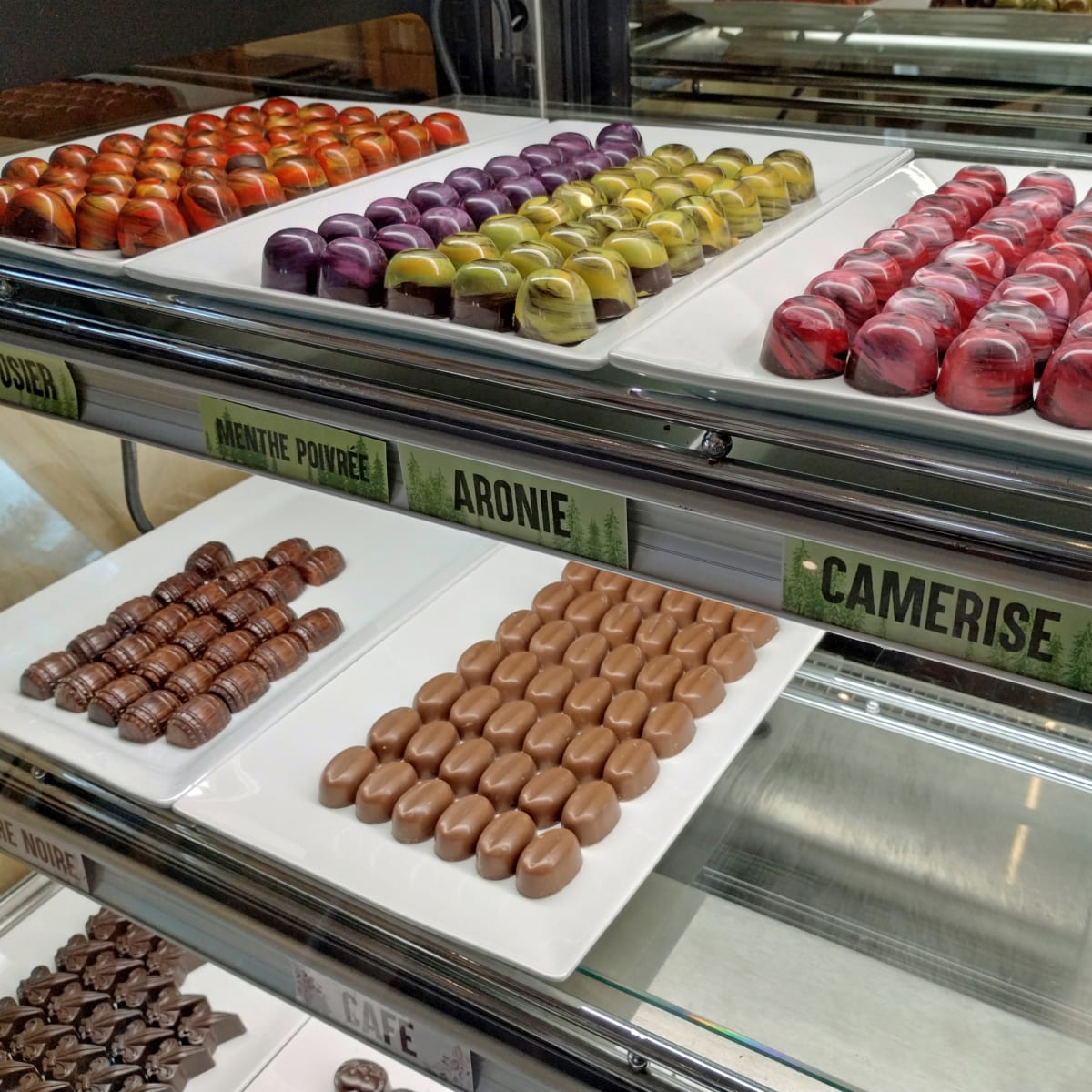 Chocolats fins boréaux