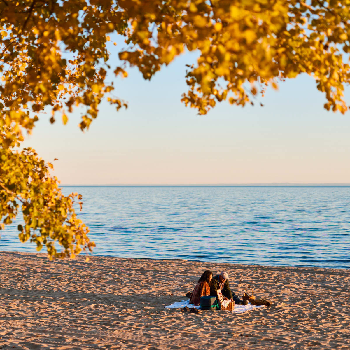 Destination Lac-Saint-Jean un couple qui fait un pique-nique sur la plage en automne