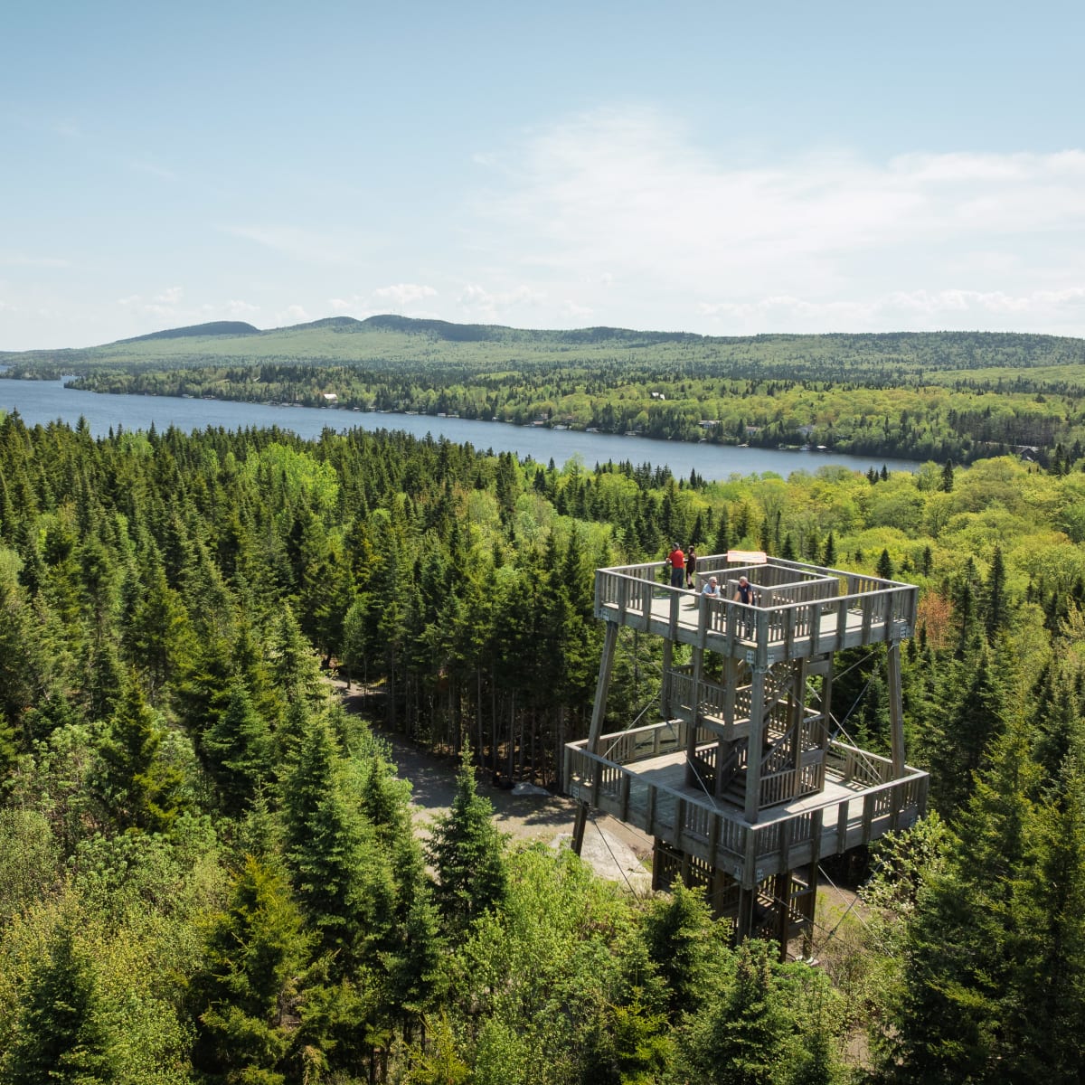 Vue d'une tour d'observation en nature
