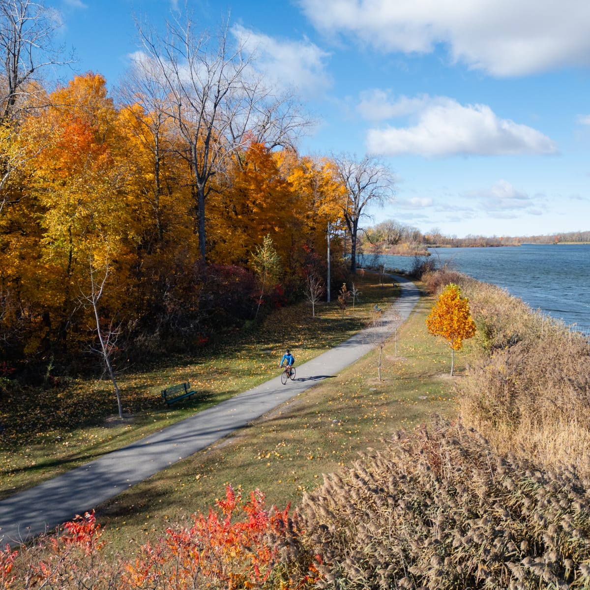 Destination Salaberry-de-Valleyfield - Un individu fait du vélo en automne