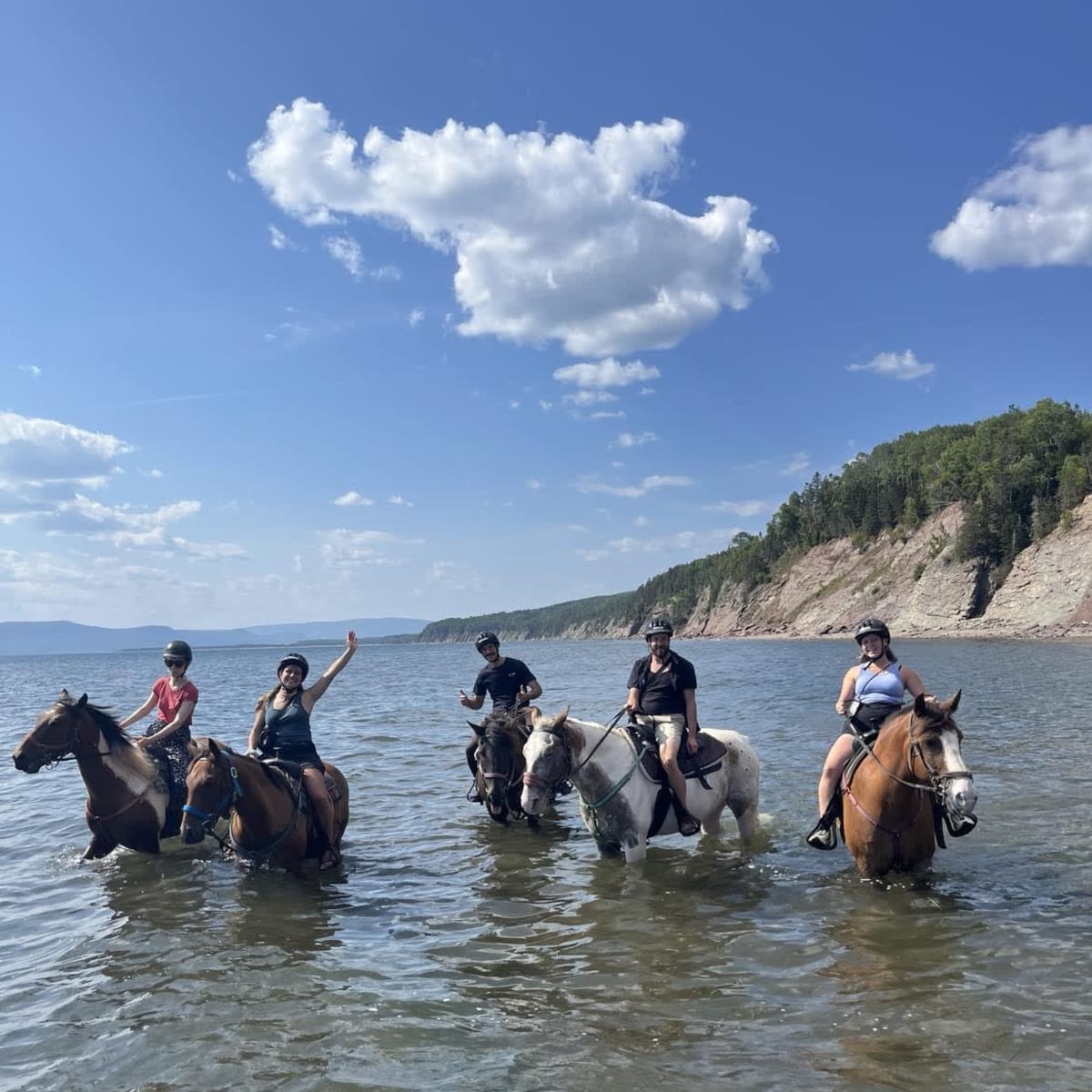 Horse riding Centaure - Forillon