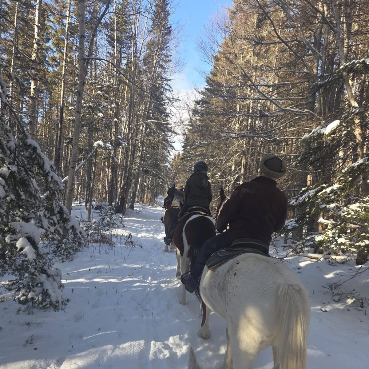 Horse riding Centaure - Forillon