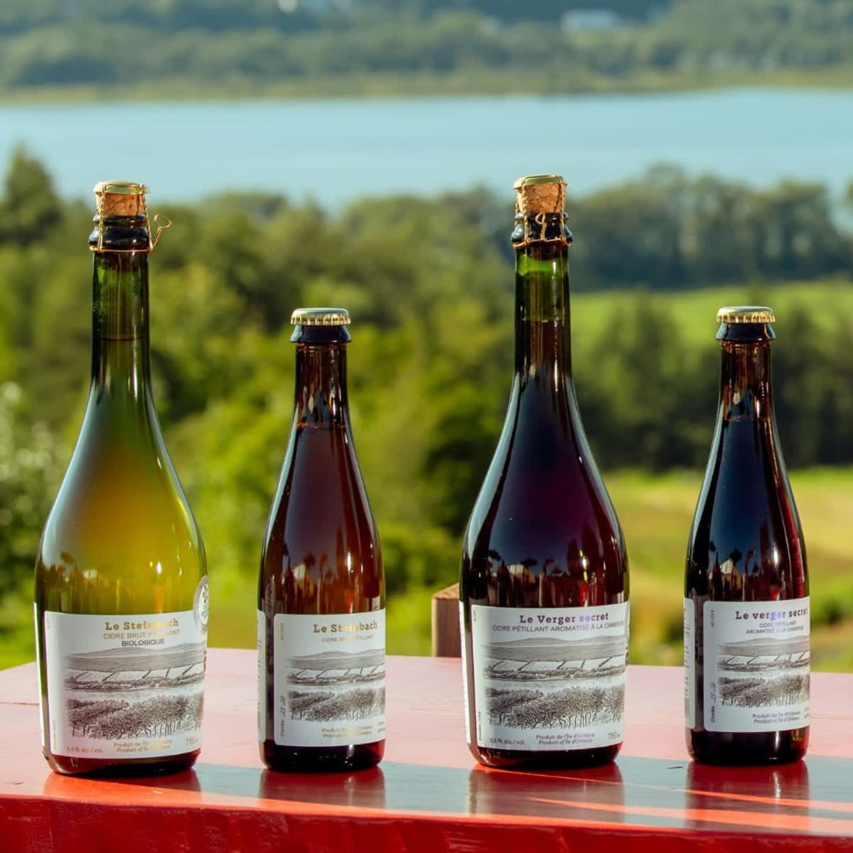 Sélection de cidre du Domaine Steinbach - Cidrerie B&B, Distillerie, en plein cœur de l’Île d’Orléans