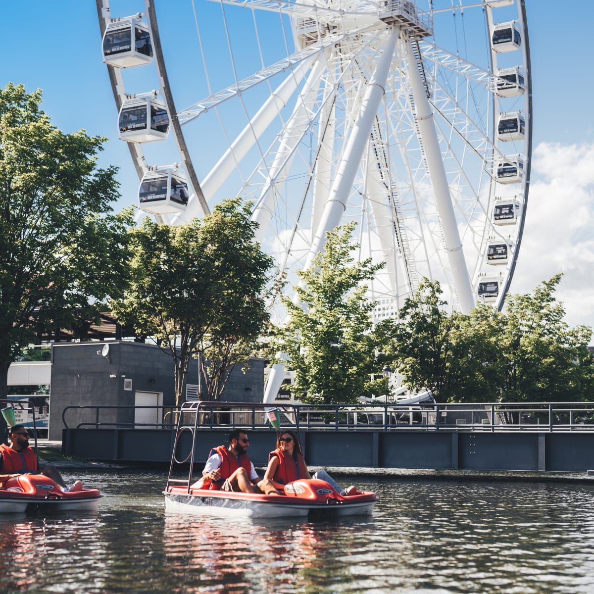 Pedal boat ride in the Old Port.