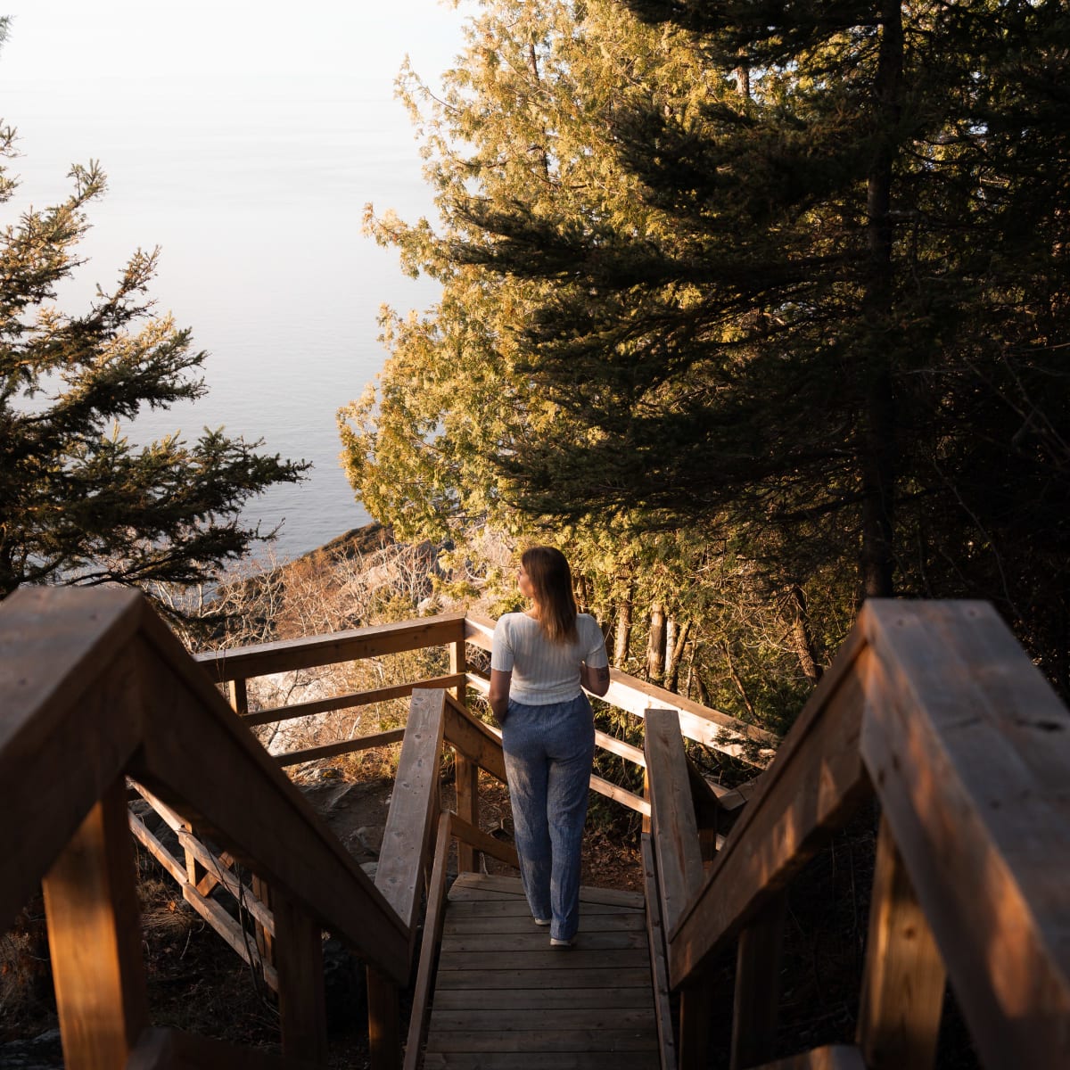 Femme en train de descendre des escaliers en bois dans la nature.
