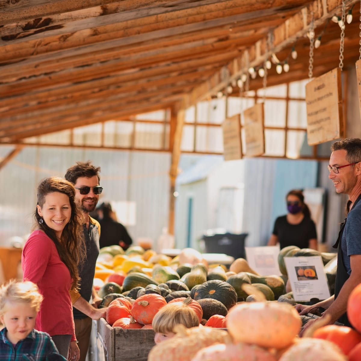 Kiosque de courges.