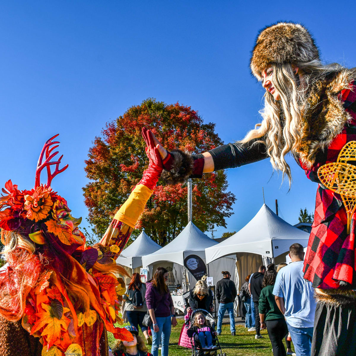 Festival des couleurs de Rigaud.