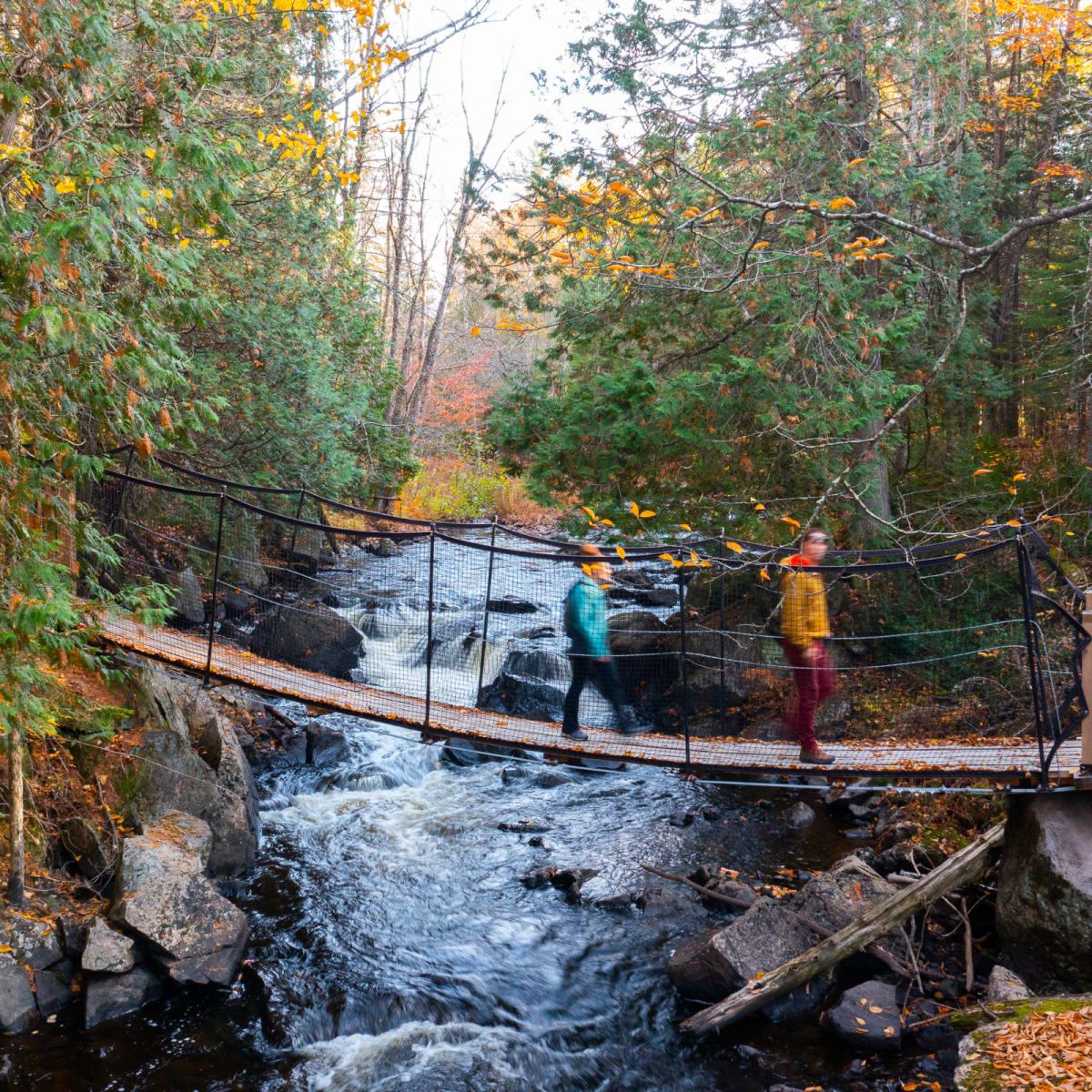 Deux individus marchent sur un pont suspendu au Parc régional Montagne du Diable.