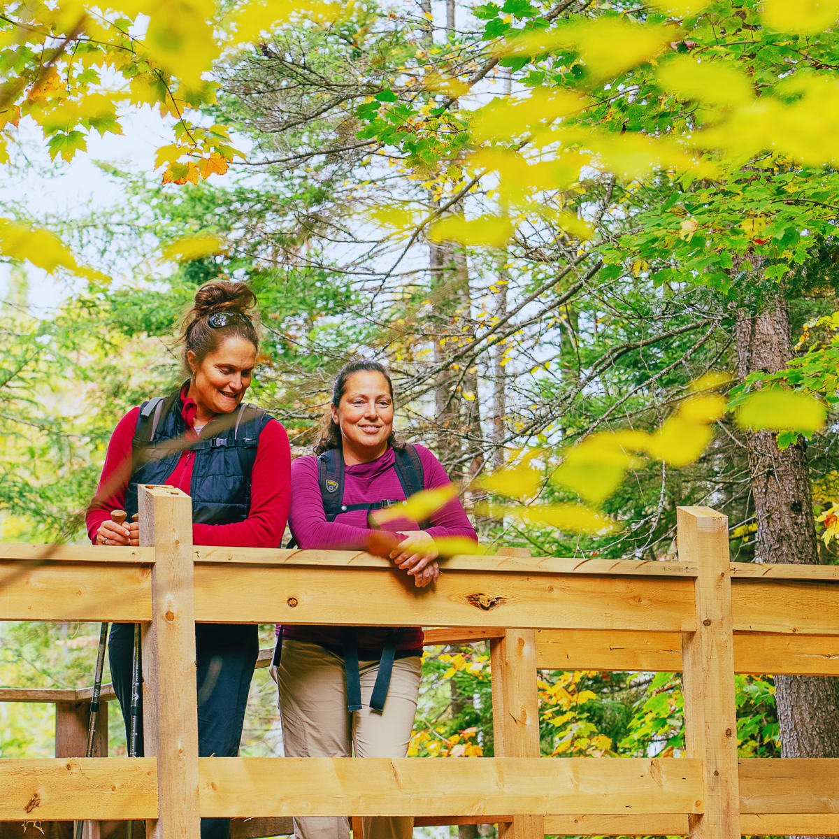 Deux femmes sur un pont de bois au Parc régional Montagne du Diable, en automne.