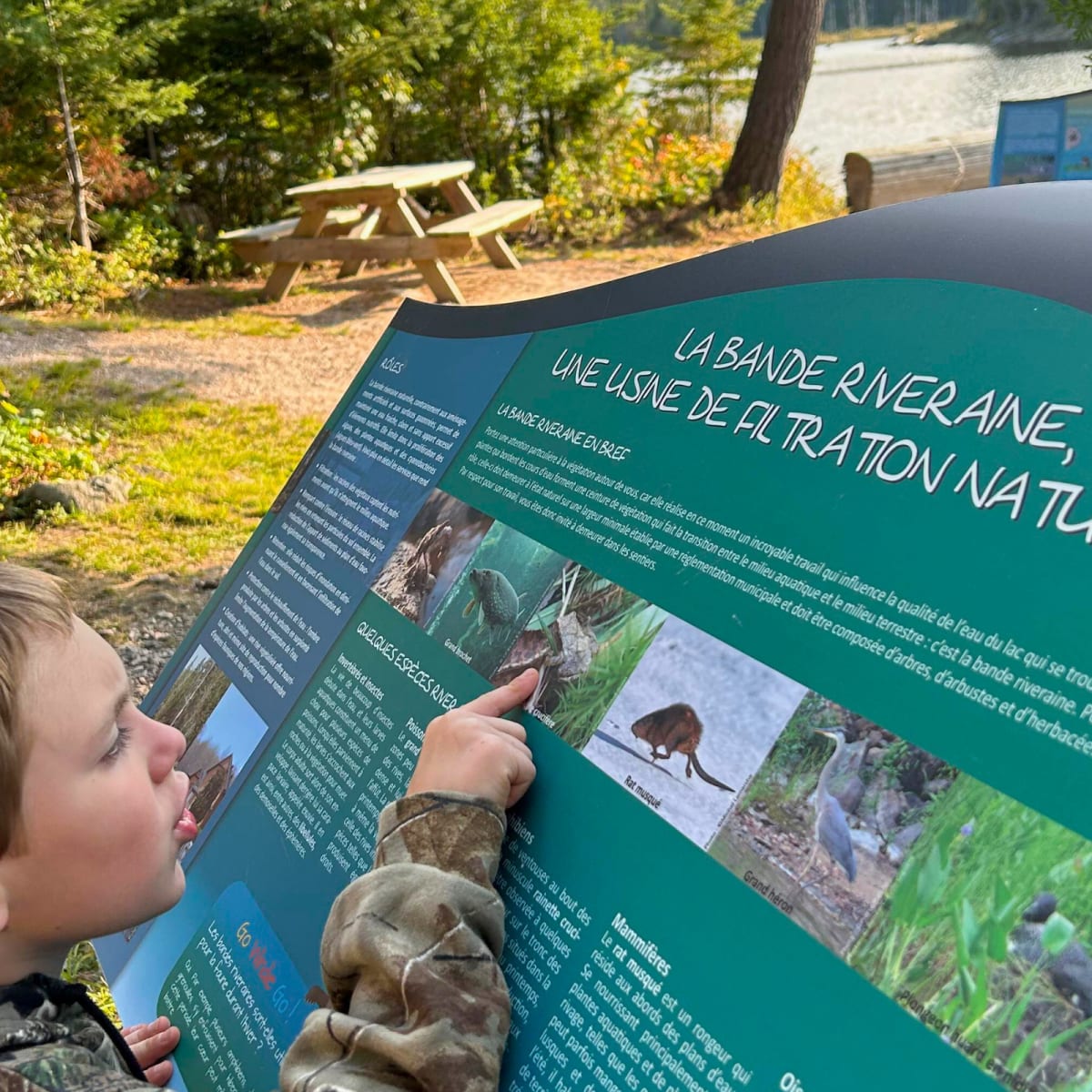 Un enfant regarde un panneau d'interprétation au Parc régional Montagne du Diable.