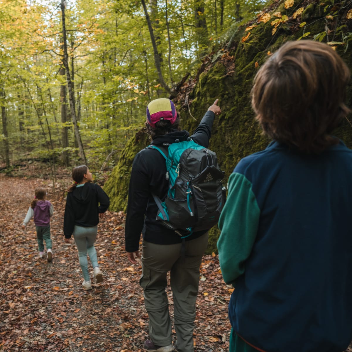 Groupe de personnes en randonnée dans la nature en automne
