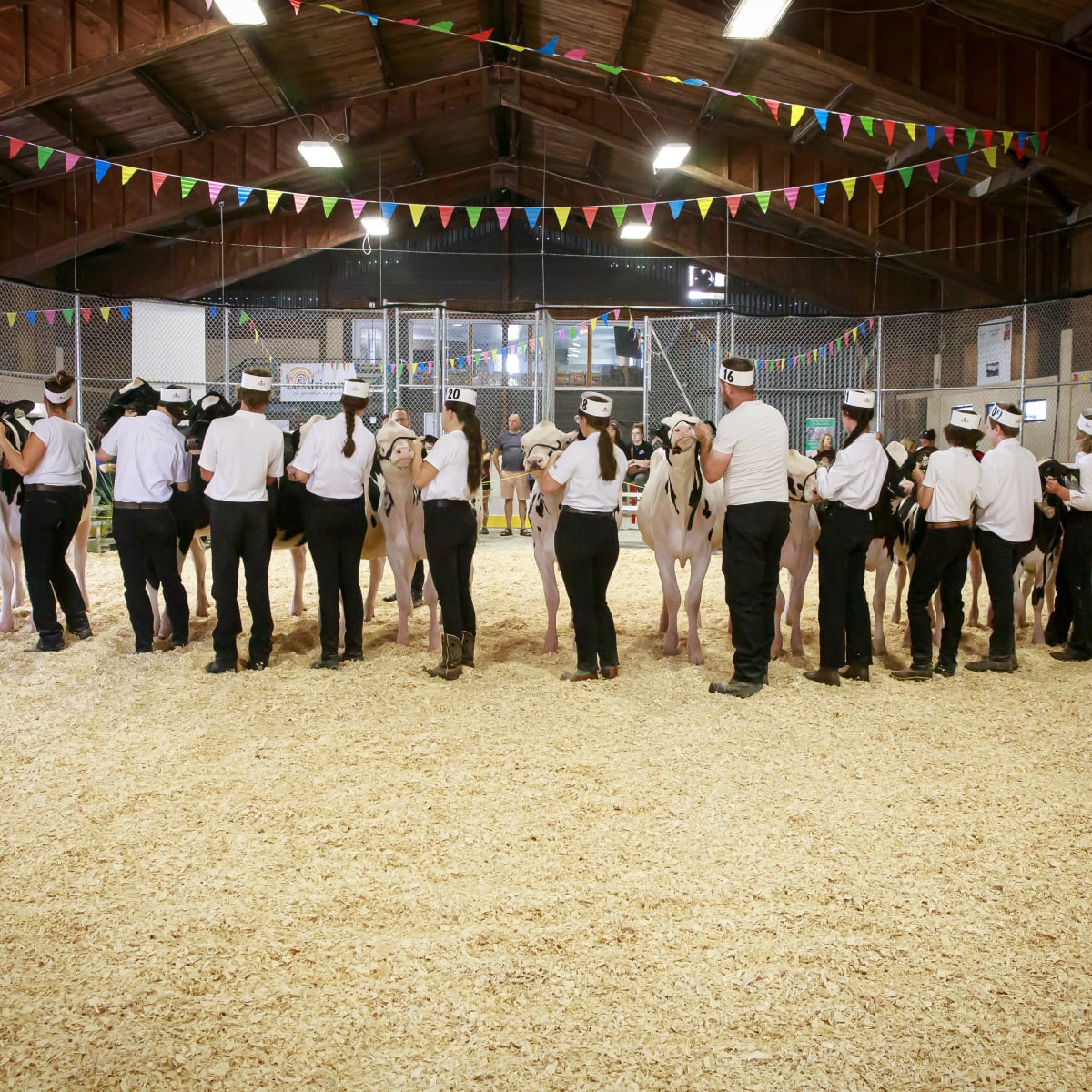 Foire agricole de Landrienne.